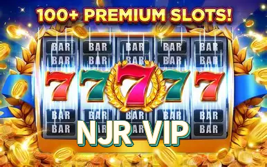 Estatísticas NJR VIP