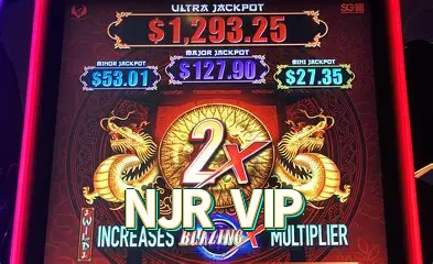 NJR VIP
