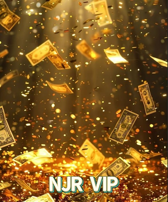 NJR VIP Segurança Logo 3