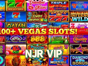 Instalador NJR VIP Windows
