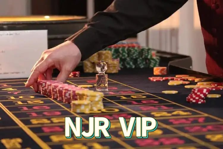 Sistema de Segurança Avançado NJR VIP - Criptografia e Proteção