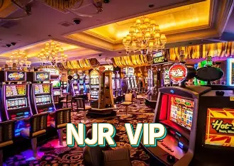 Downloads Verificados NJR VIP